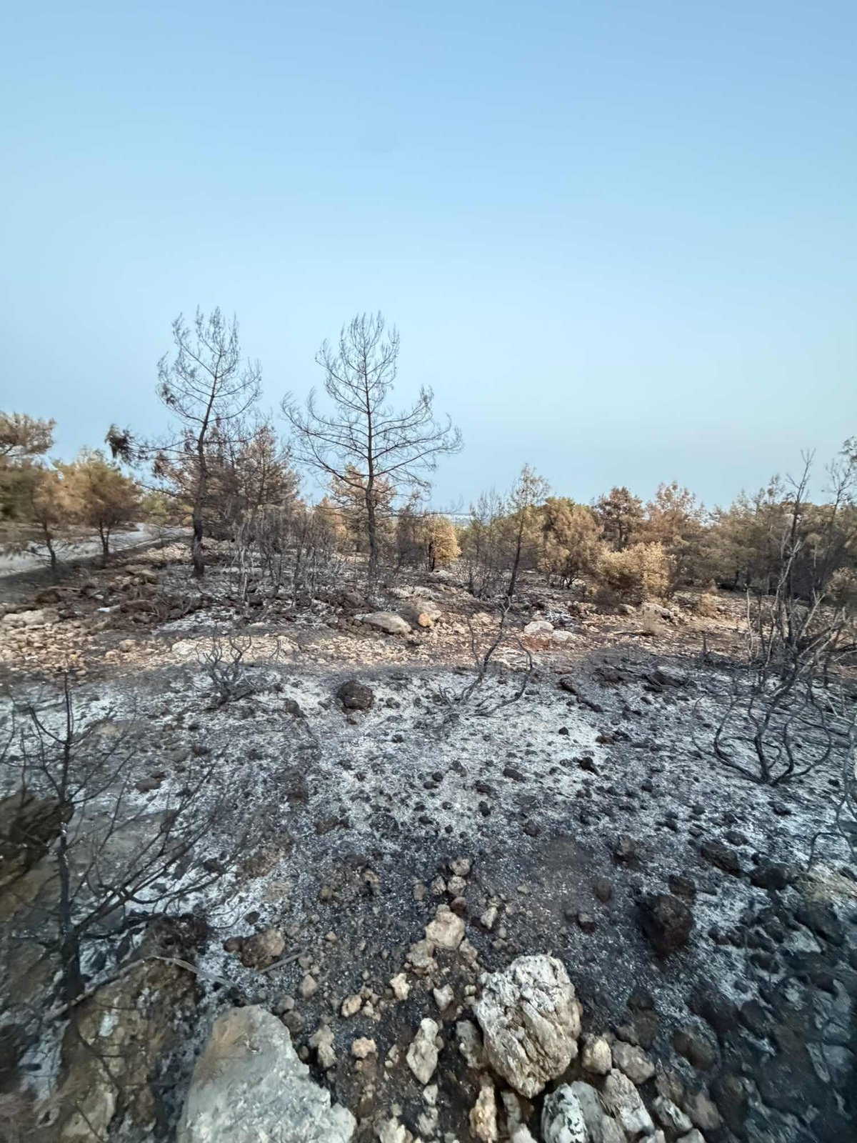ANTALYA AKSU TOPALLI MAHALLESİNDE YATIRIM FIRSATI