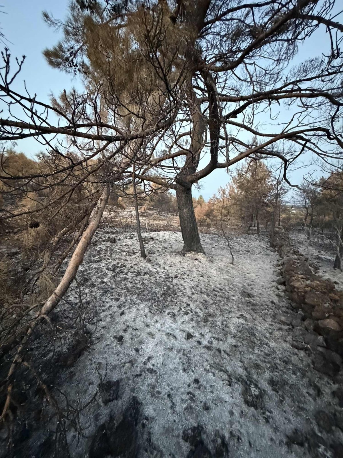 ANTALYA AKSU TOPALLI MAHALLESİNDE YATIRIM FIRSATI