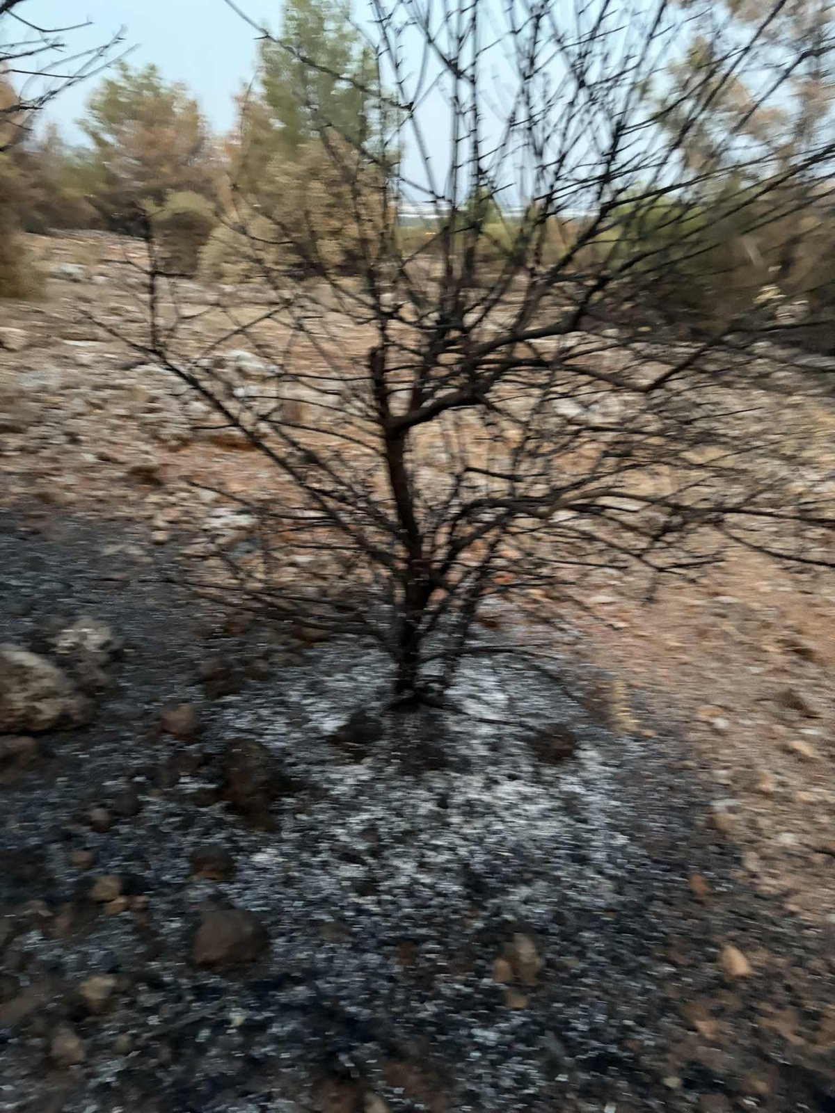 ANTALYA AKSU TOPALLI MAHALLESİNDE YATIRIM FIRSATI